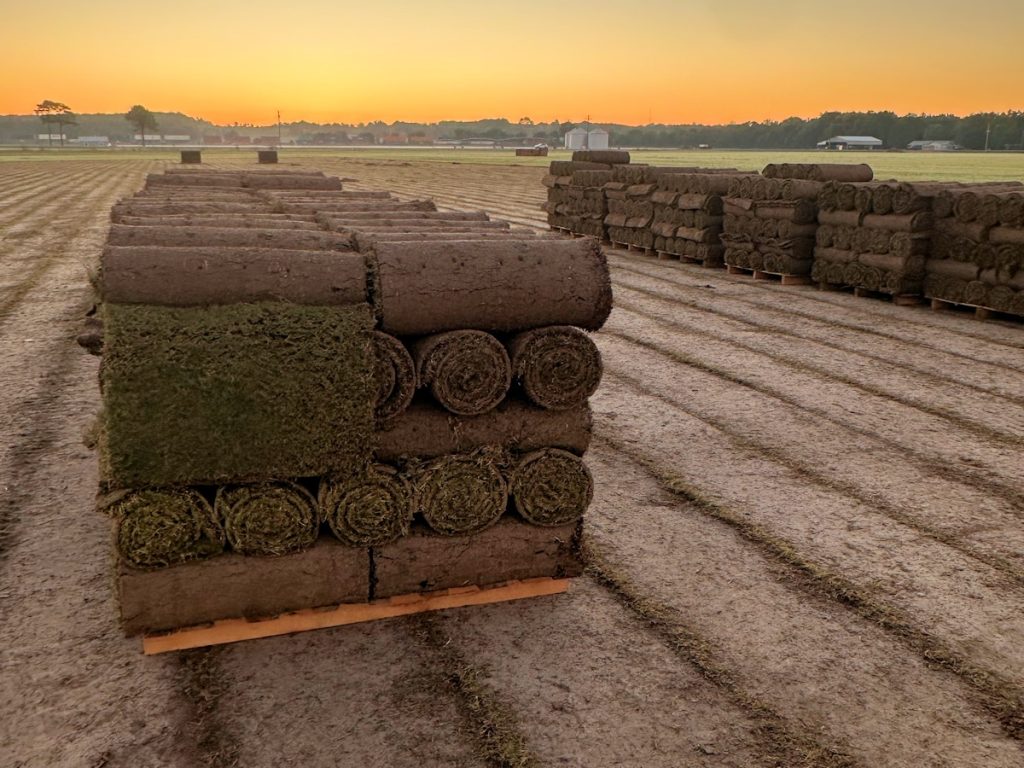 Sod Instllation Arkansas